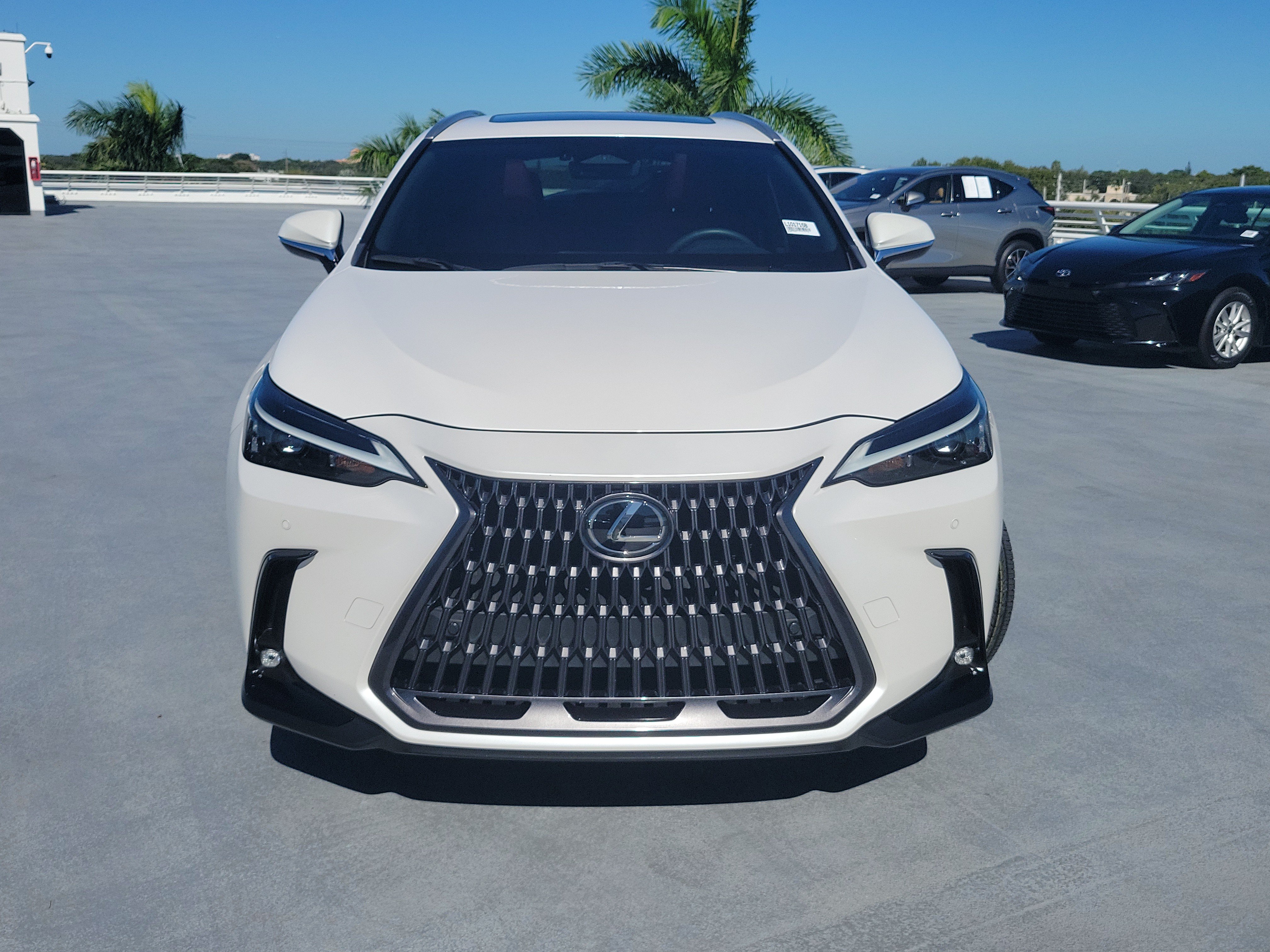 Certified 2024 Lexus NX 250 FWD image 2
