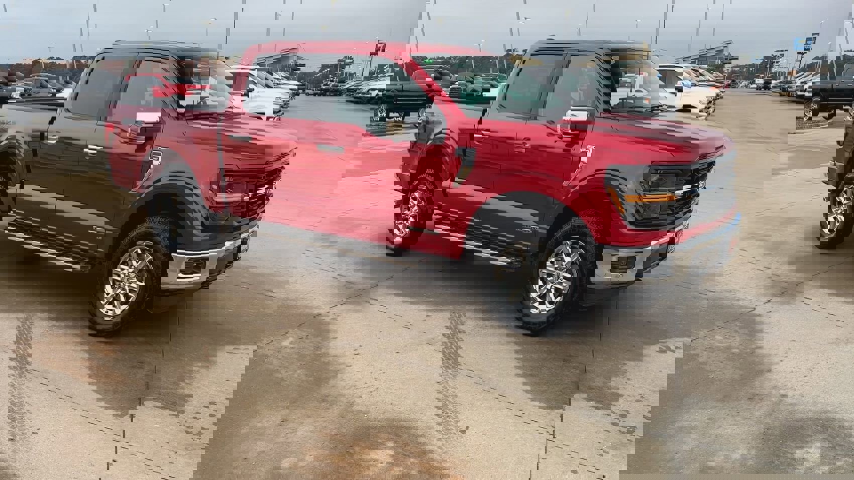 Used 2024 Ford F150 XLT w/ Equipment Group 302A MID image 9