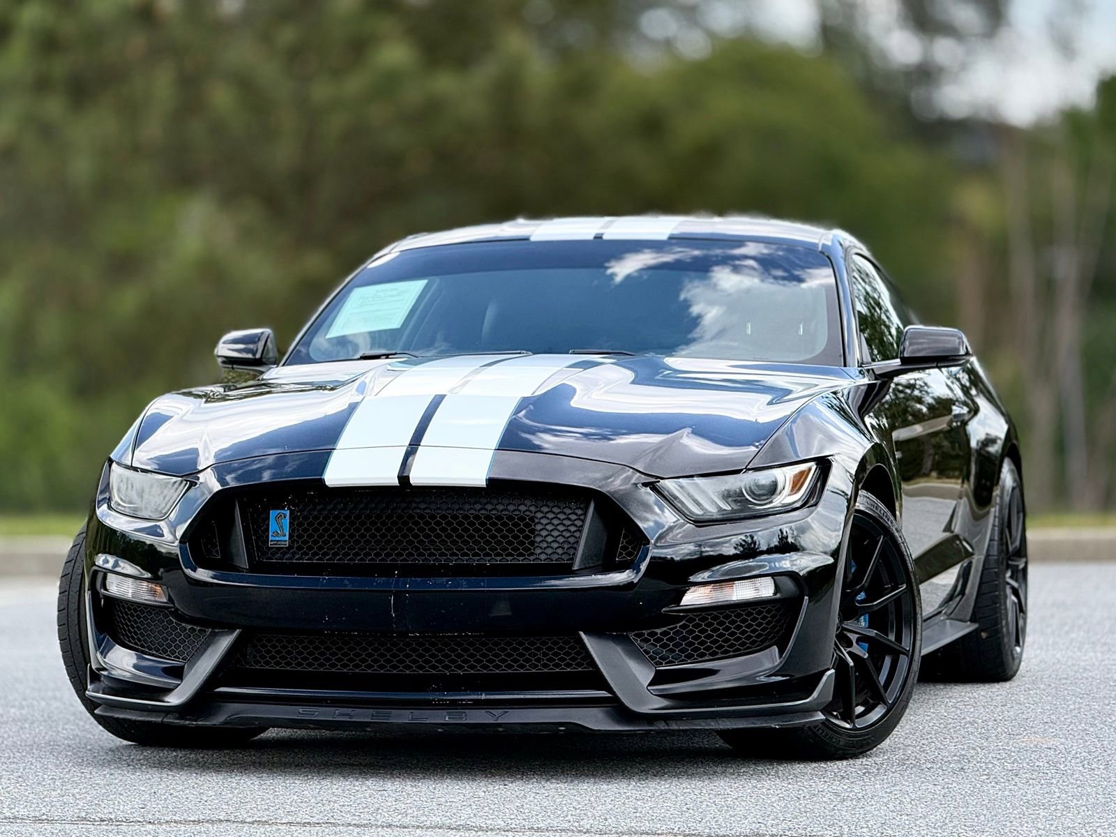Used 2016 Ford Mustang Shelby GT350 w/ Technology Package image 2