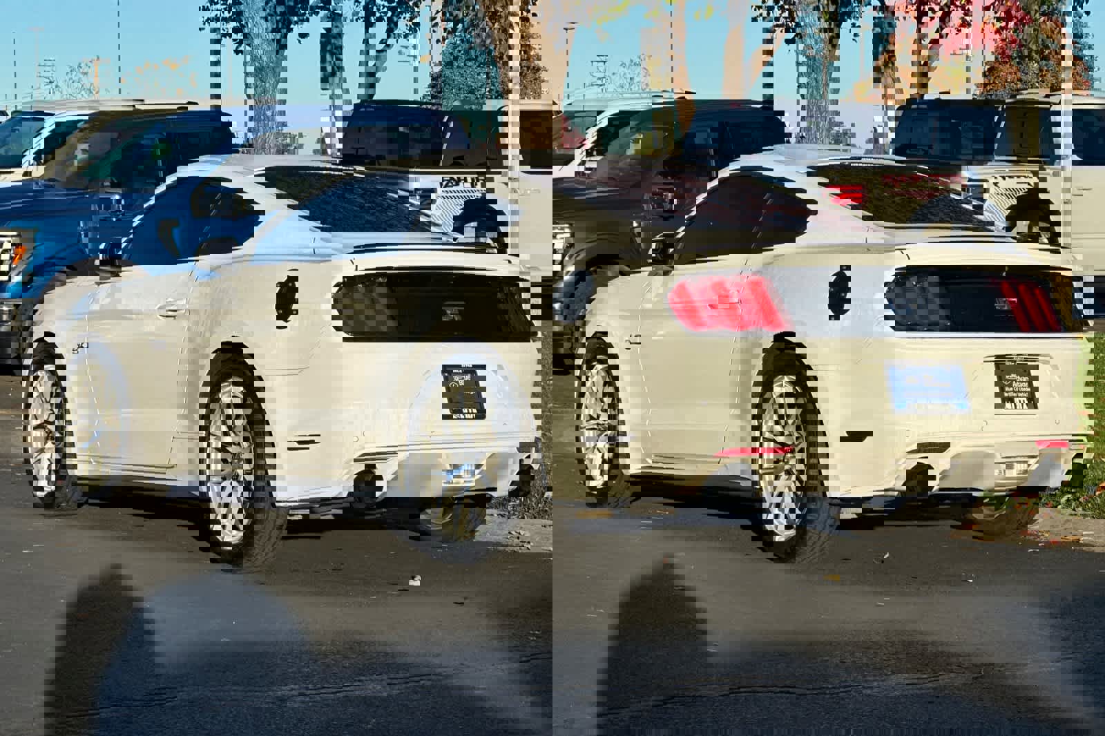 Certified 2017 Ford Mustang GT image 6