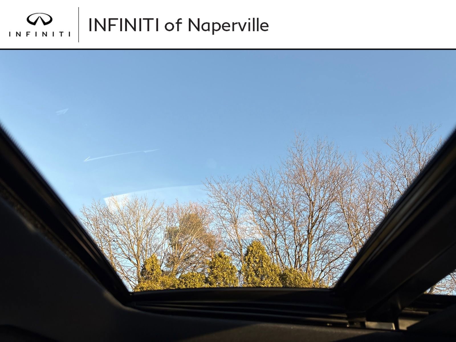 New 2026 INFINITI QX60 Sport image 21