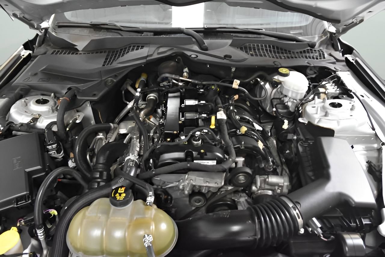 Used 2019 Ford Mustang Coupe w/ Black Accent Package image 35