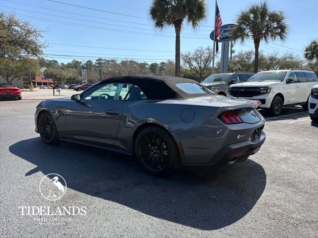 New 2026 Ford Mustang Premium w/ Mustang Nite Pony Package image 6