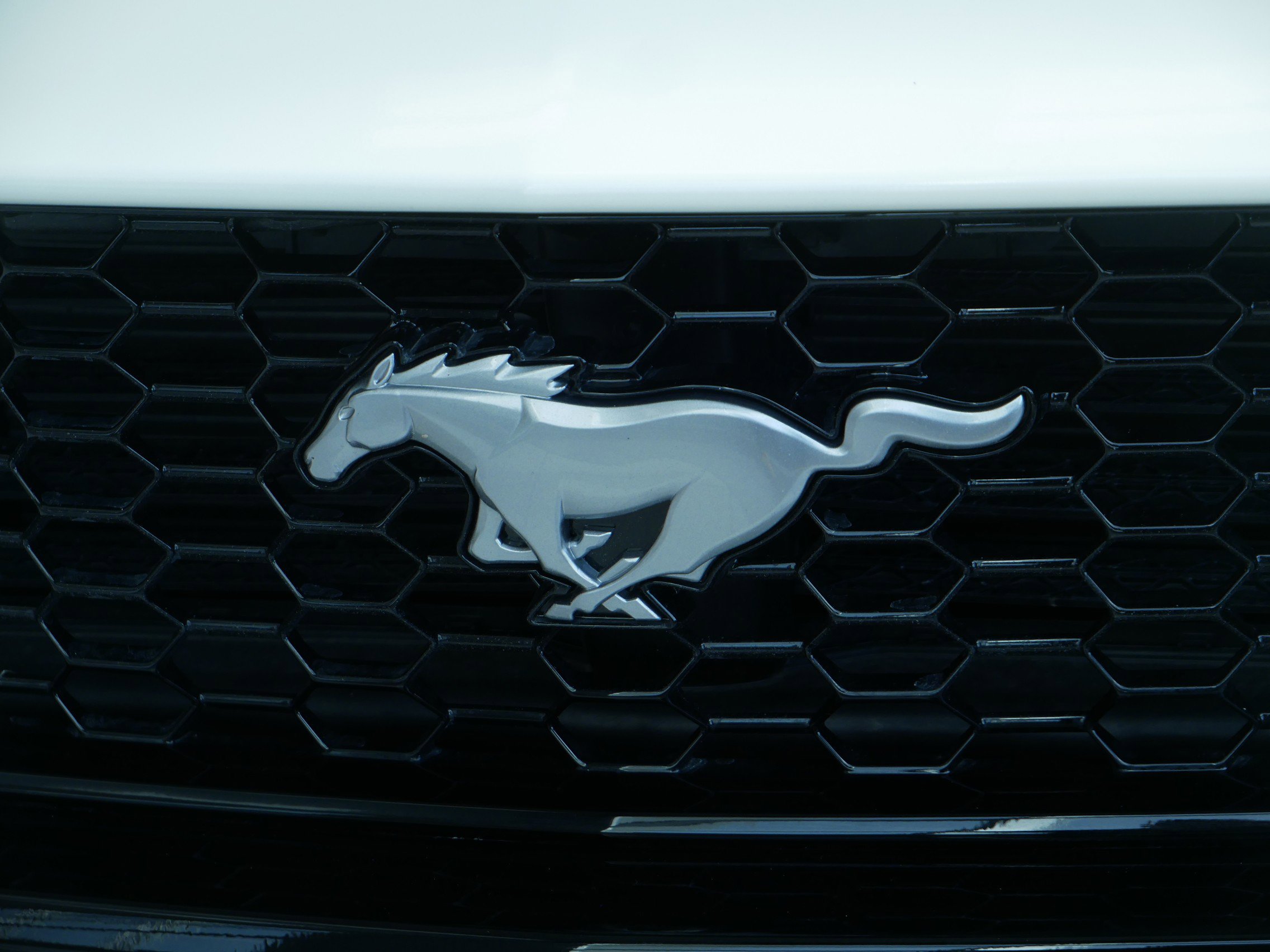 Certified 2025 Ford Mustang GT Premium w/ 60th Anniversary Package image 4