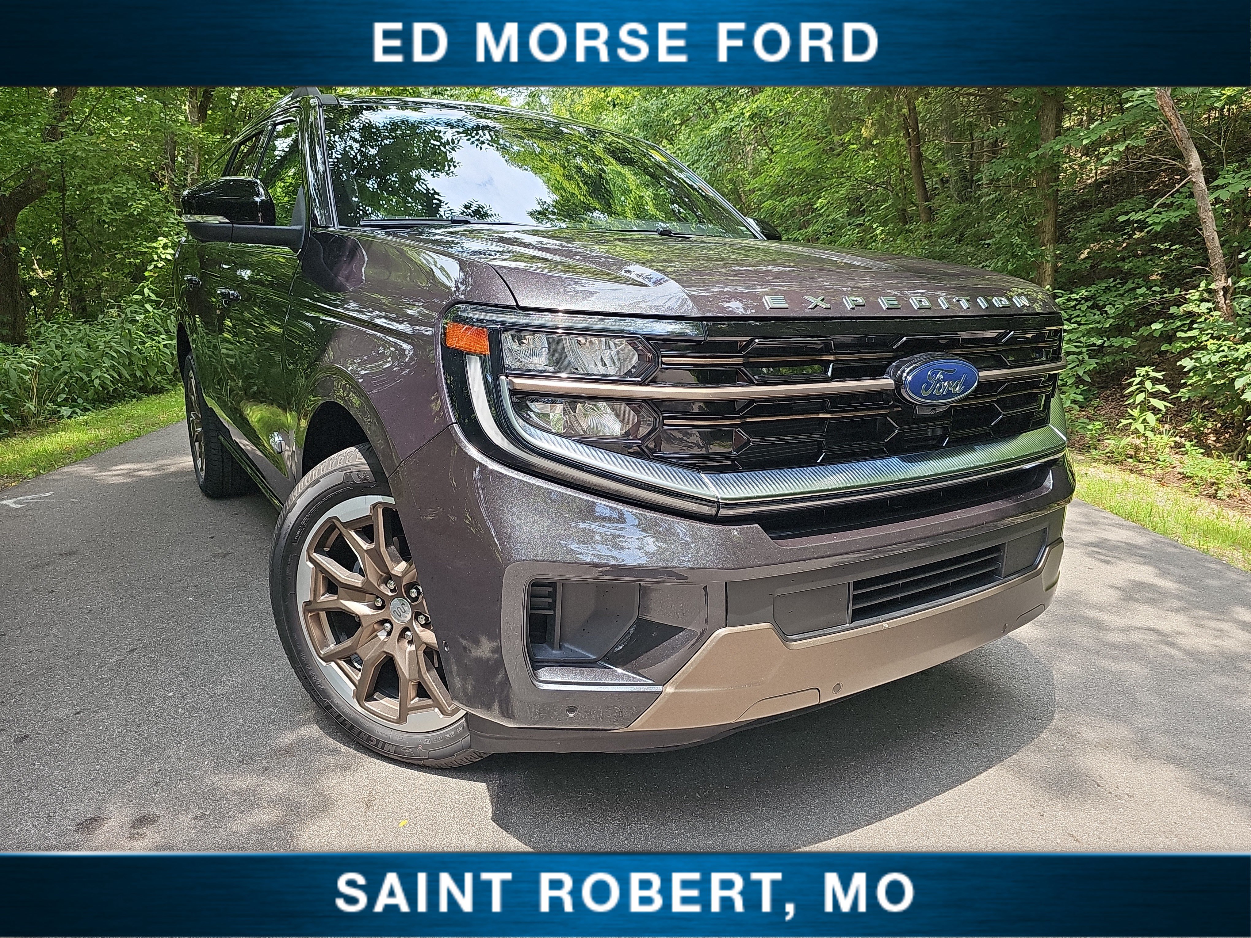 Used 2025 Ford Expedition King Ranch AWD/4WD image 1