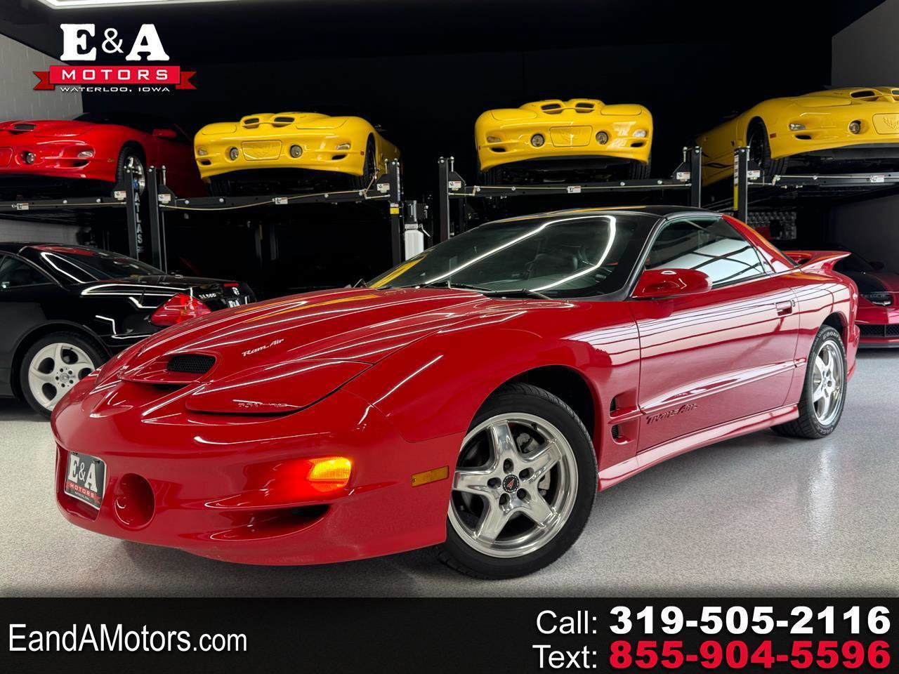 Used 2002 Pontiac Firebird Trans Am RWD image 1