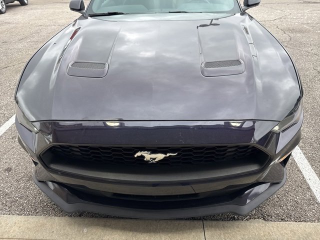 Used 2023 Ford Mustang Coupe image 3