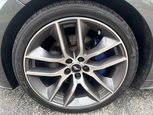 Used 2015 Ford Mustang GT Premium w/ Equipment Group 401A RWD image 8