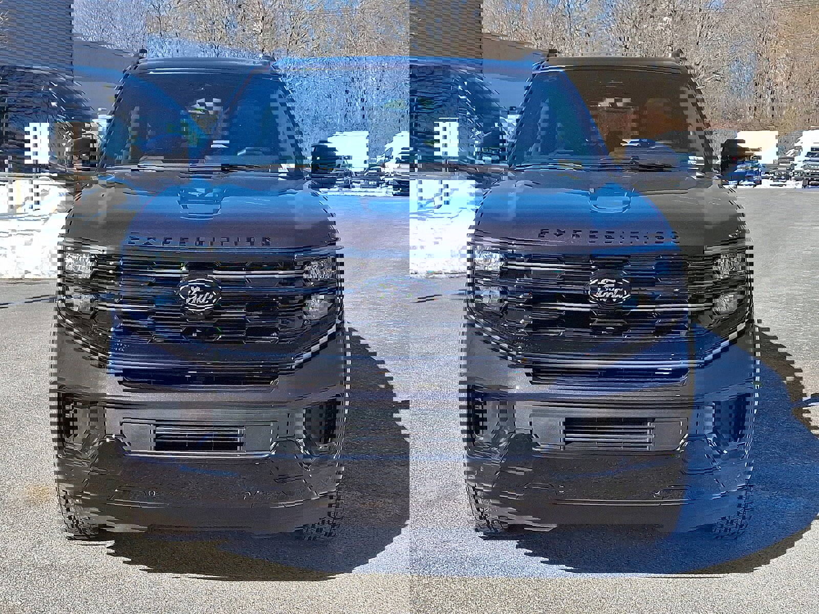 New 2026 Ford Expedition Platinum w/ Stealth Appearance Package image 2