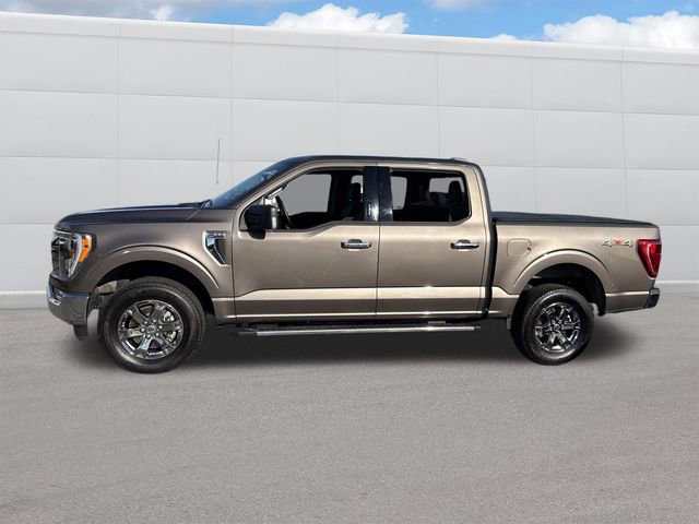 Used 2023 Ford F150 XLT w/ Equipment Group 302A High image 2