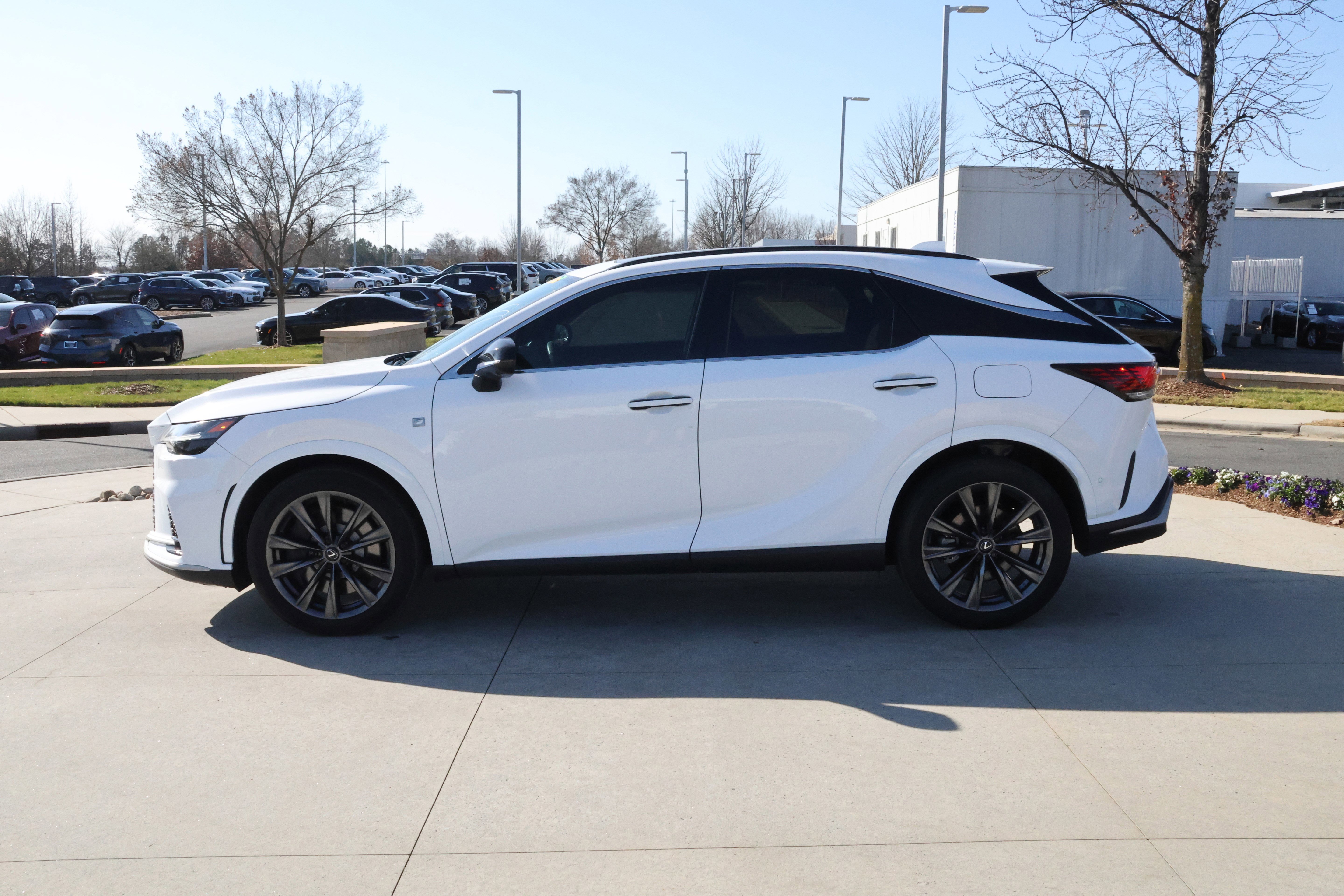 Used 2024 Lexus RX 350 F Sport image 6