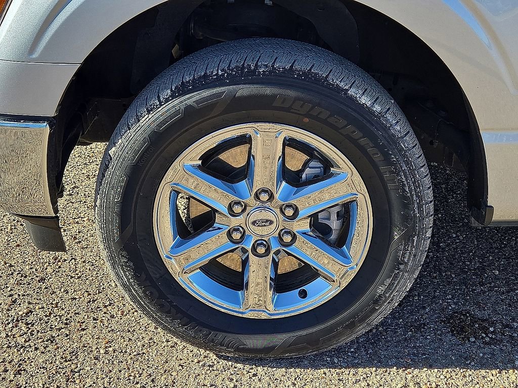 Used 2025 Ford F150 XLT w/ Equipment Group 301A Standard image 11