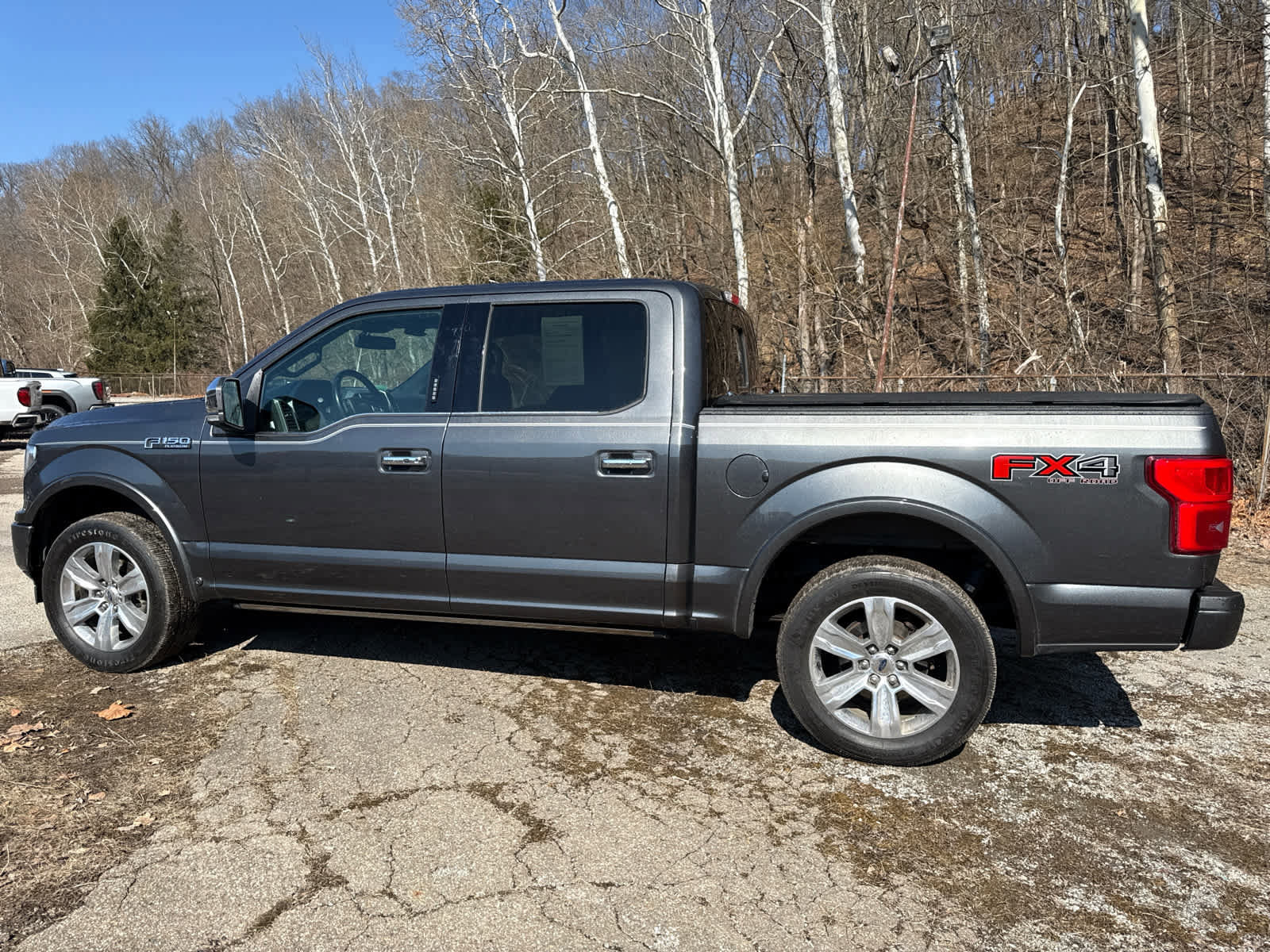 Used 2018 Ford F150 Platinum w/ Equipment Group 701A Luxury image 7