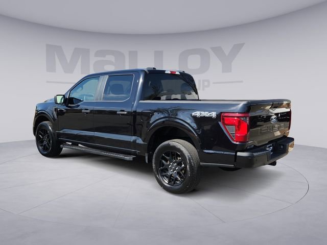 Certified 2024 Ford F150 STX w/ STX Black Appearance Package image 3