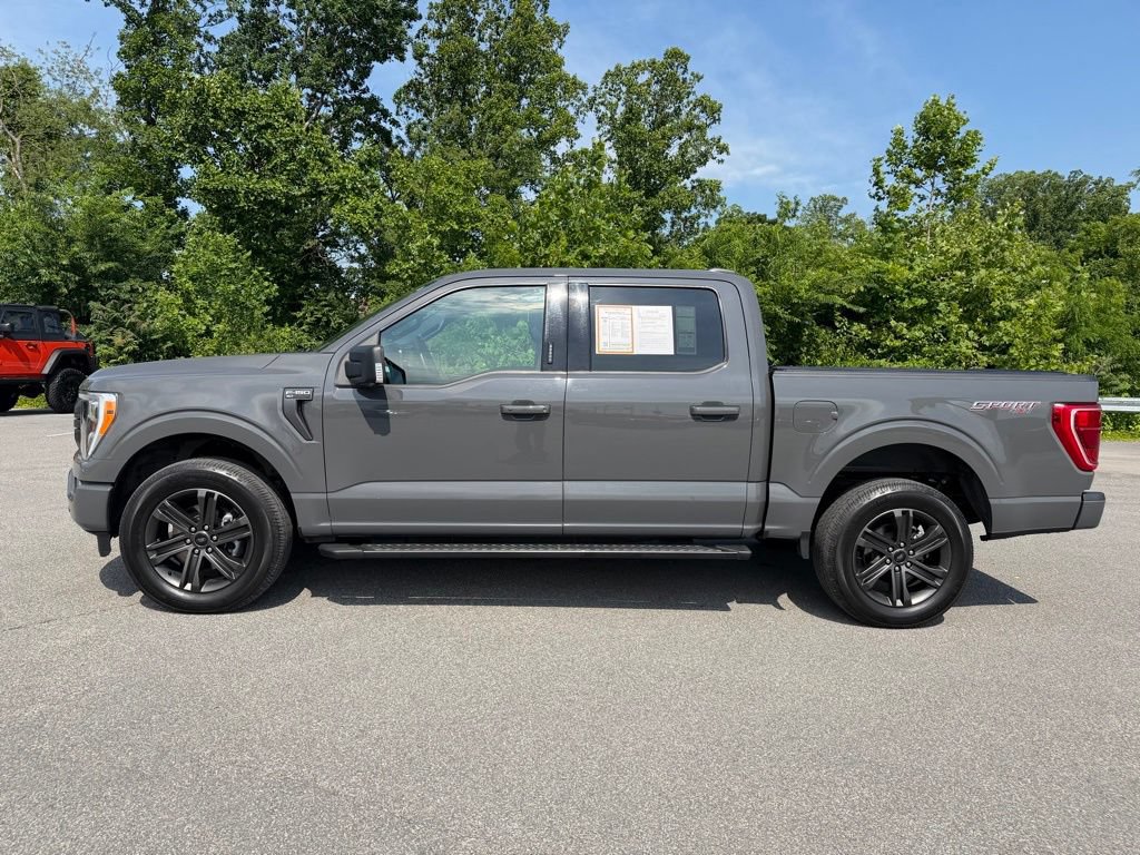 Used 2021 Ford F150 XLT w/ Equipment Group 302A High AWD/4WD image 2