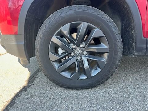 Used 2025 Honda Ridgeline Sport image 5