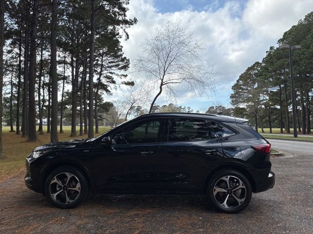 Used 2024 Ford Escape ST-Line Select w/ Tech Pack #2 image 6