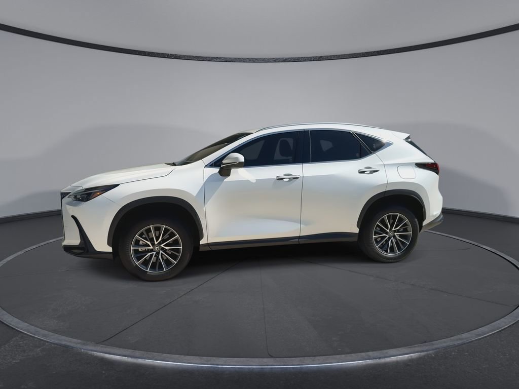Used 2024 Lexus NX 250 FWD image 5