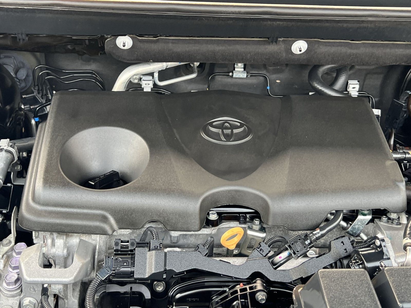 Used 2025 Toyota RAV4 XLE AWD/4WD image 29