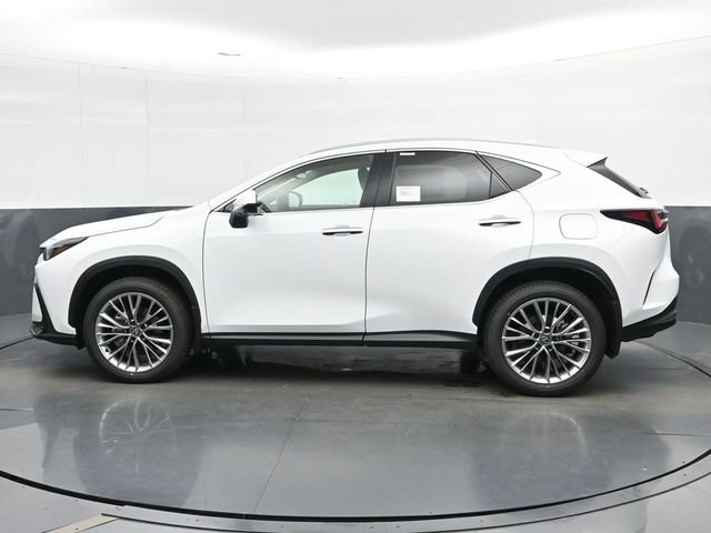 New 2026 Lexus NX 350 AWD w/ Accessory Package (2T) image 5