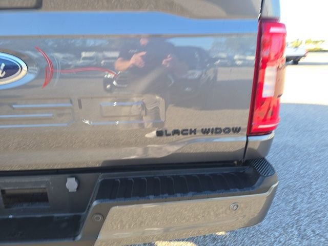 Used 2023 Ford F150 XLT w/ Equipment Group 302A High image 6