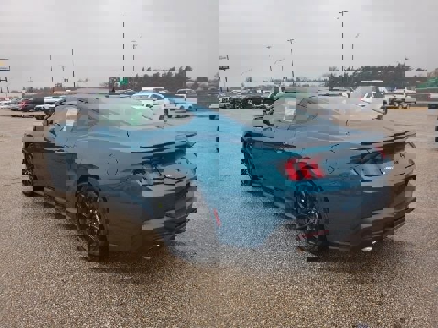 New 2026 Ford Mustang Coupe w/ Mustang Nite Pony Package image 22