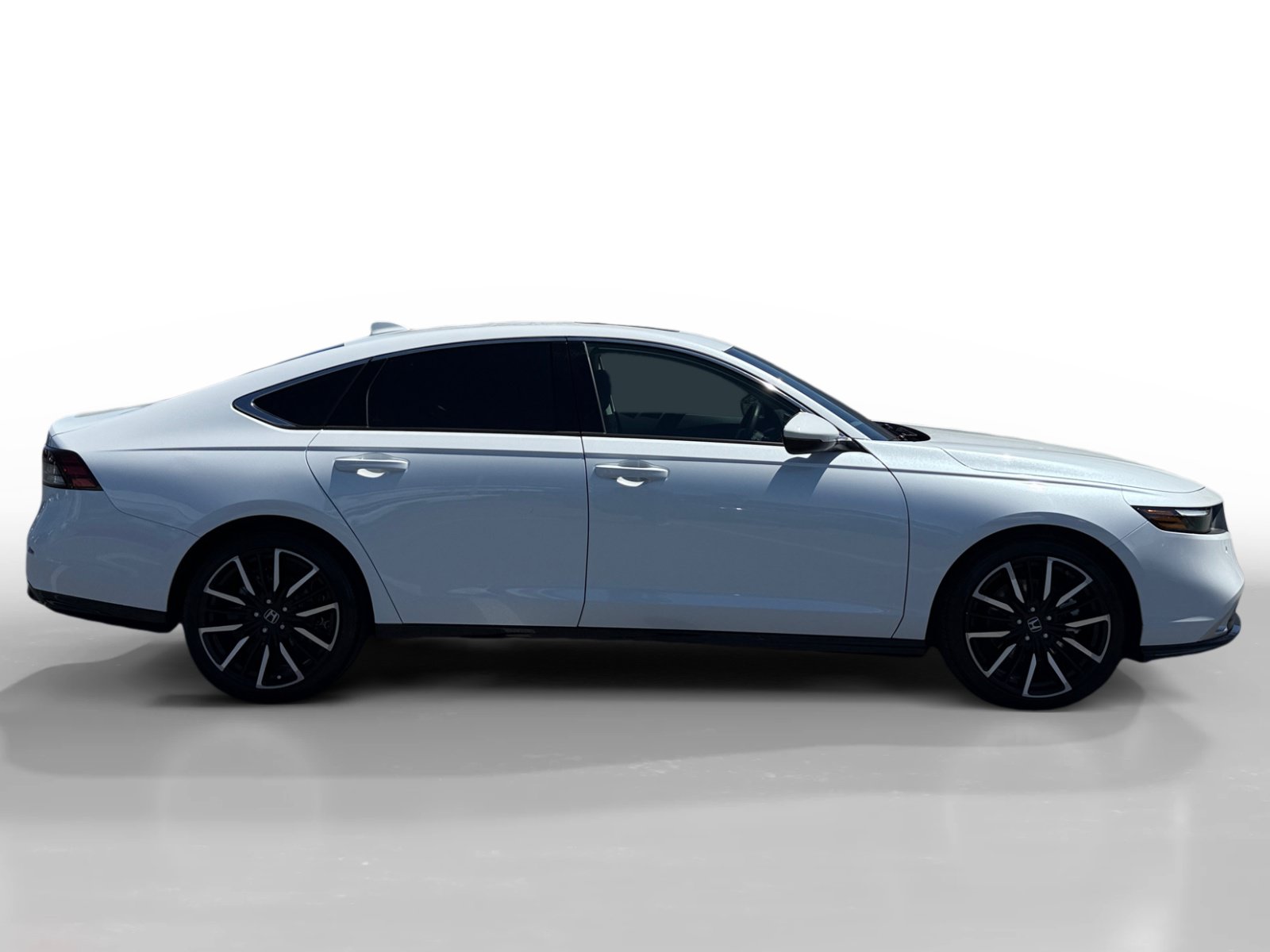 Used 2025 Honda Accord Touring image 6