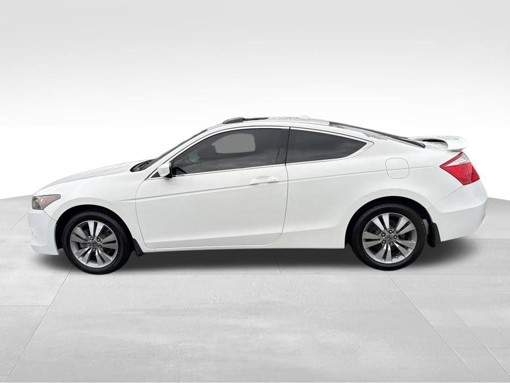 Used 2010 Honda Accord EX-L image 8