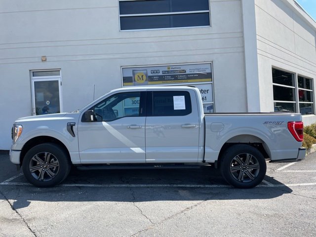 Used 2023 Ford F150 XLT w/ Equipment Group 302A High image 2