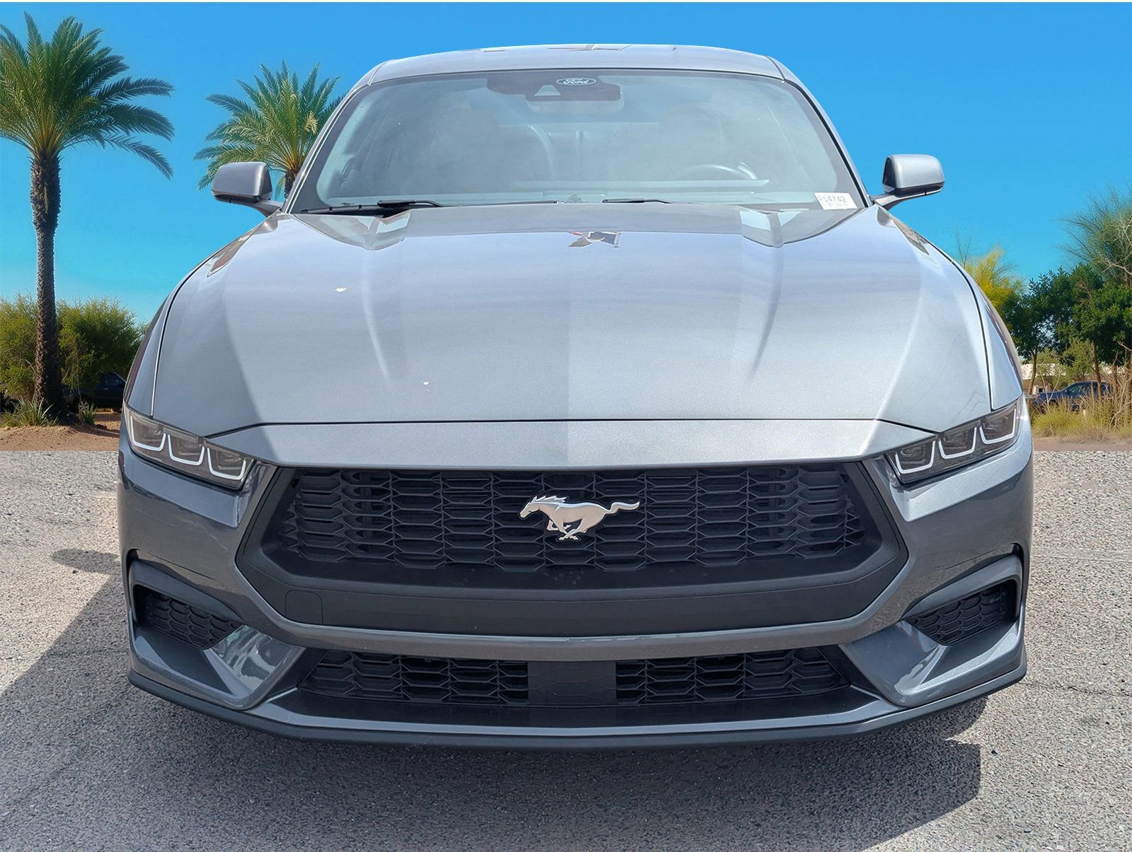 Certified 2024 Ford Mustang Premium RWD image 8