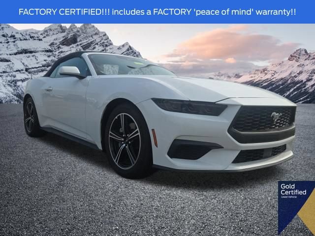 Used 2025 Ford Mustang Premium