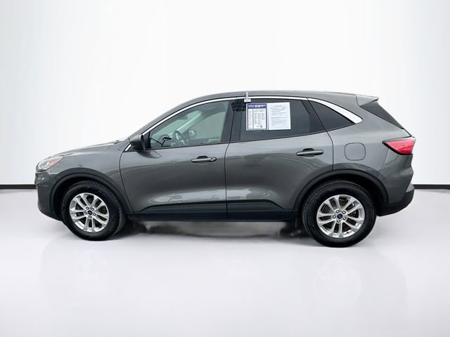 Used 2022 Ford Escape SE w/ Cold Weather Package image 4