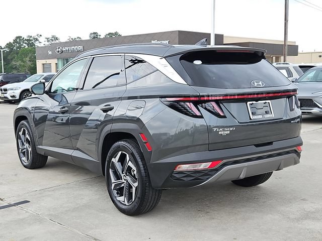 Used 2024 Hyundai Tucson Limited AWD/4WD image 7