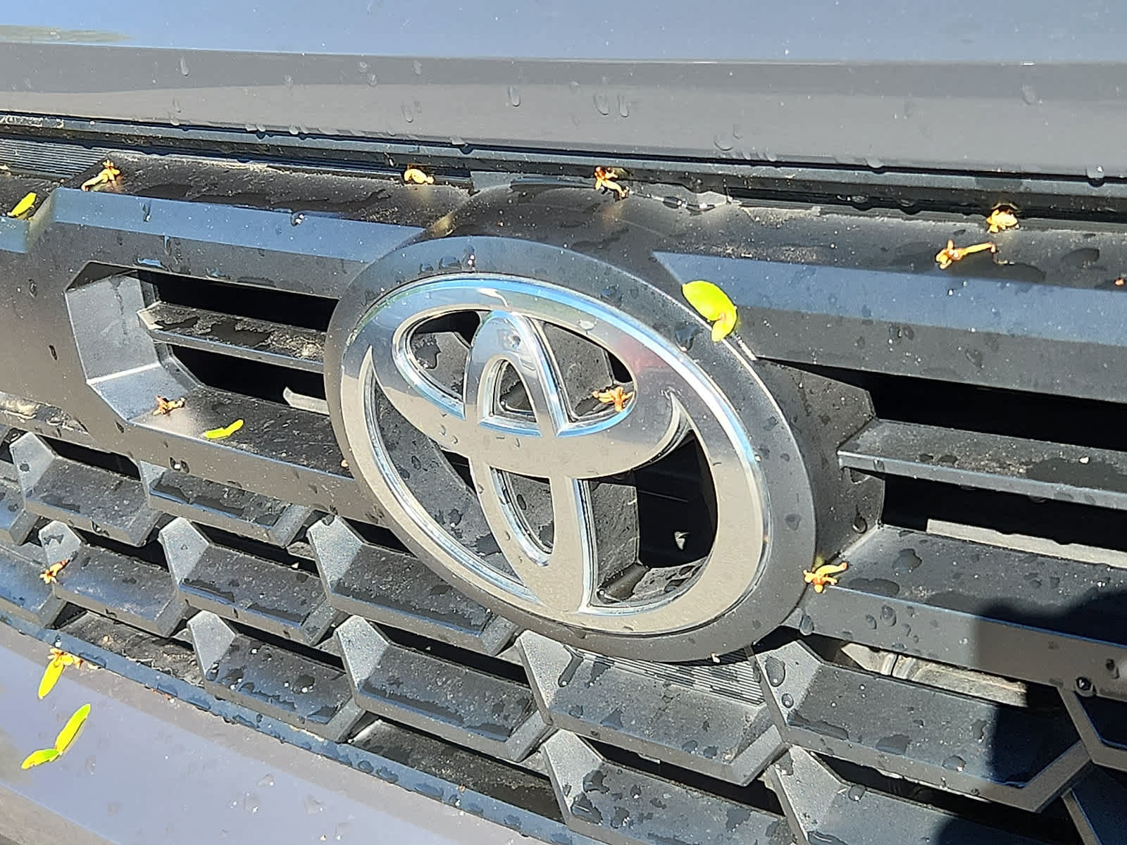 Certified 2025 Toyota Tacoma TRD Off-Road AWD/4WD image 31