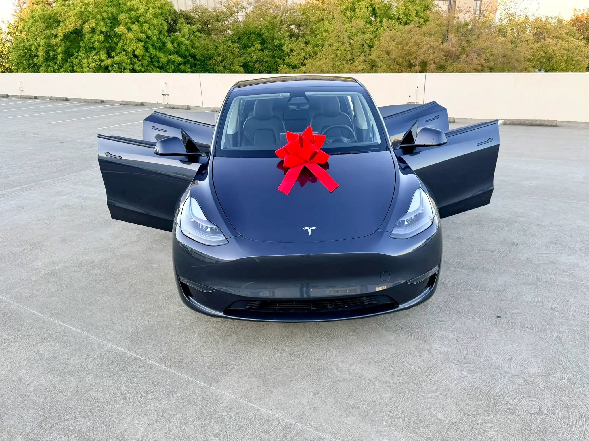 Used 2025 Tesla Model Y Long Range AWD/4WD image 41