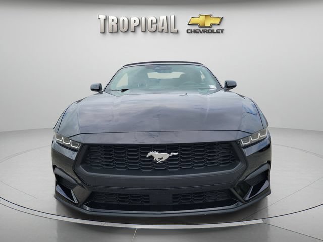 Used 2025 Ford Mustang Convertible RWD image 7