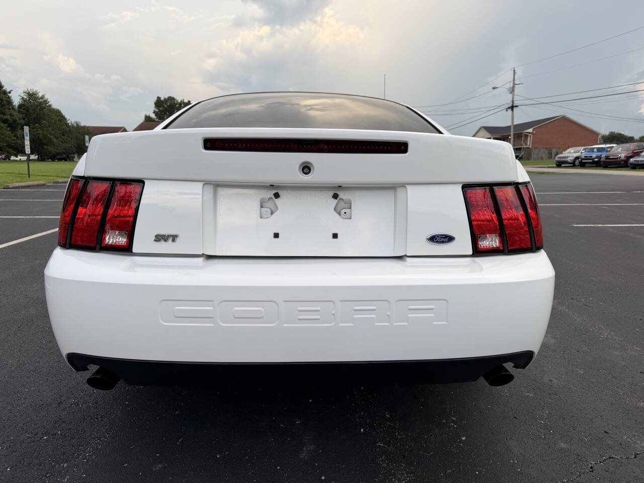 Used 2003 Ford Mustang Cobra RWD image 5