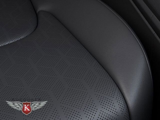 New 2026 Kia Carnival SX image 24