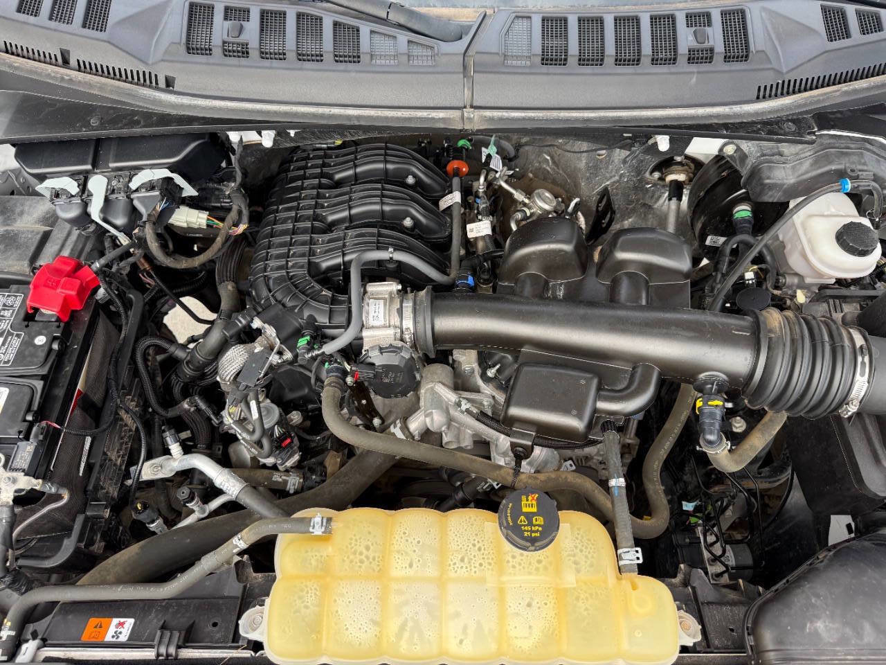 Used 2019 Ford F150 XL w/ Equipment Group 101A Mid image 11