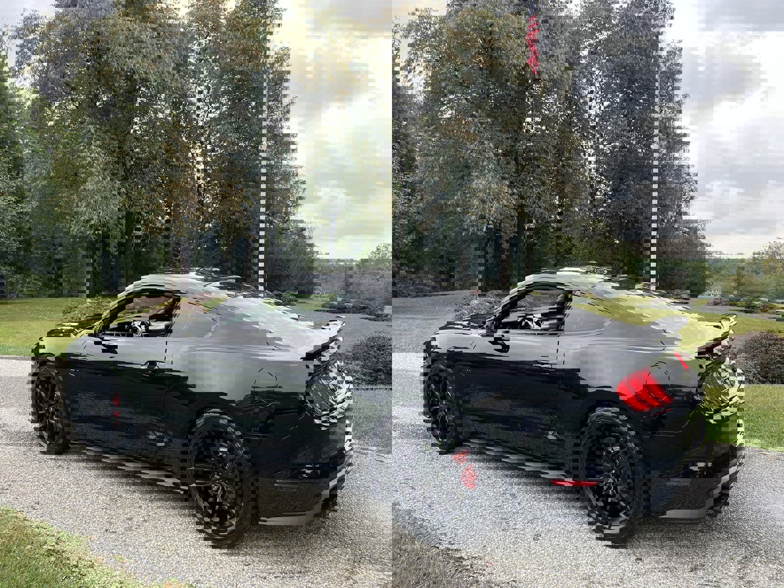 Used 2019 Ford Mustang GT Premium w/ Enhanced Security Package image 7