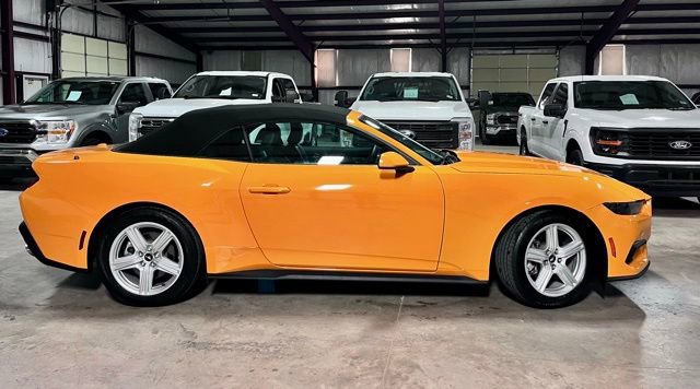 Used 2026 Ford Mustang Premium RWD image 2