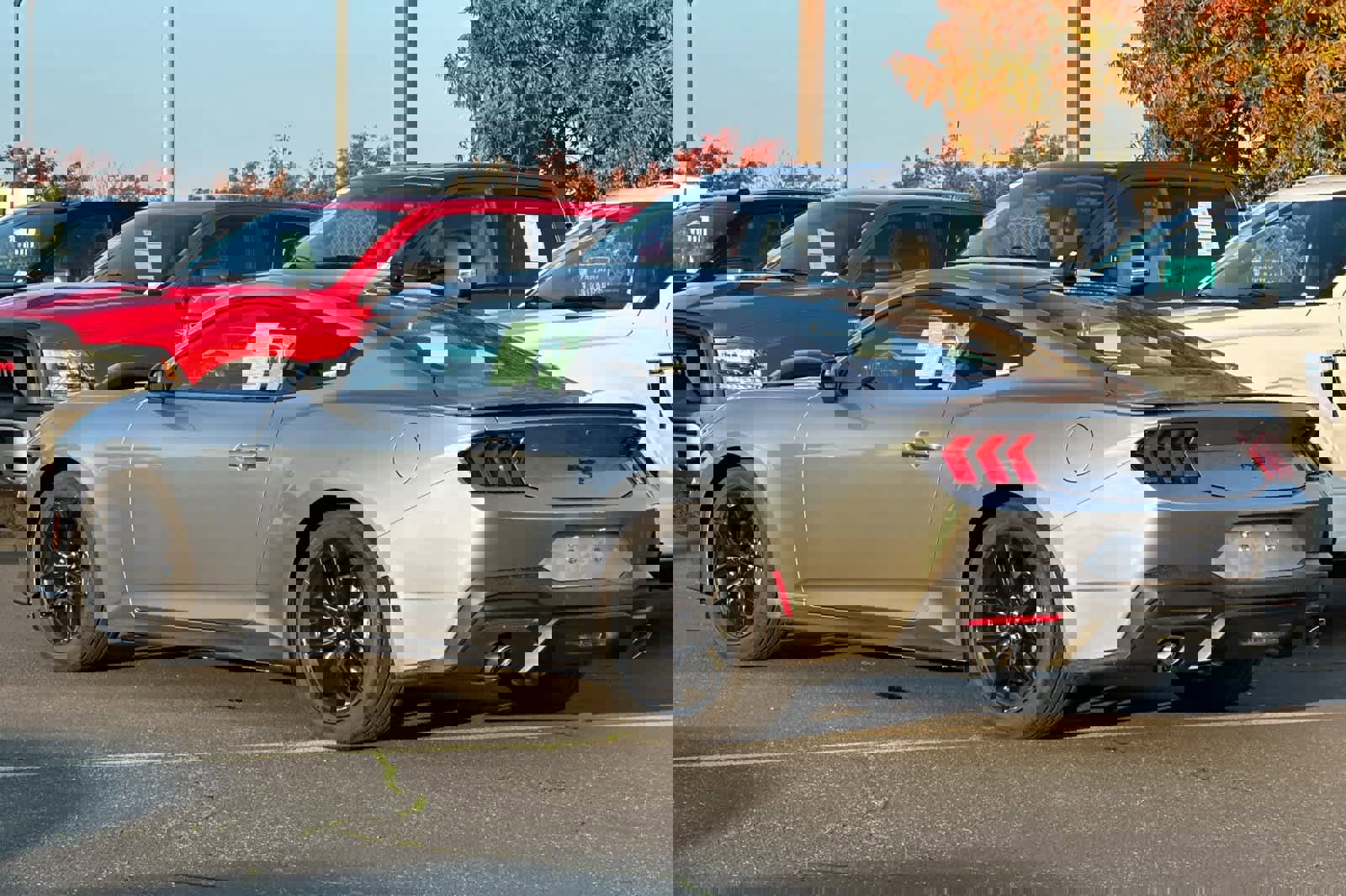 New 2026 Ford Mustang Coupe image 6