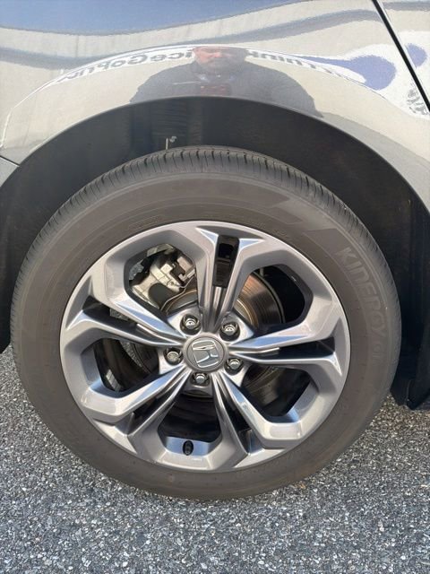 Used 2025 Honda Accord EX-L image 11