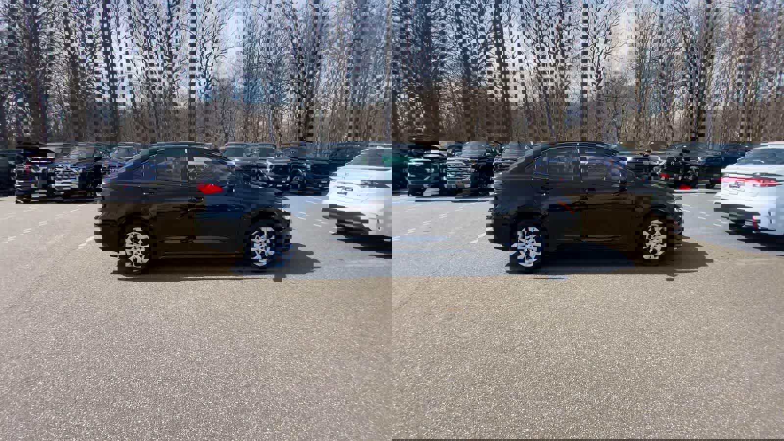 Used 2025 Toyota Corolla LE image 12