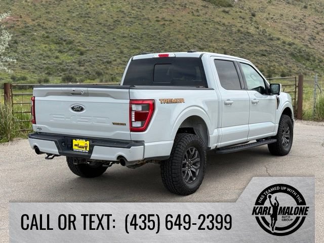 Used 2023 Ford F150 Tremor w/ Equipment Group 402A High AWD/4WD image 6