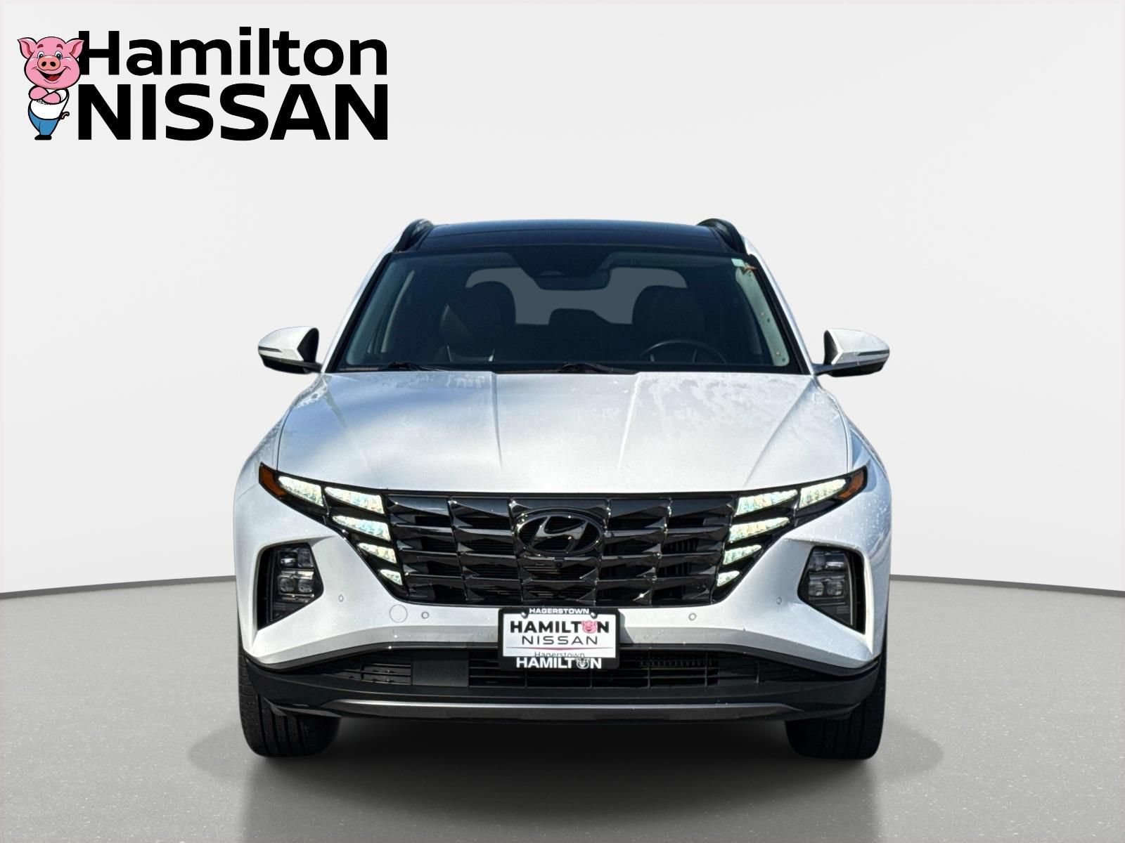 Used 2024 Hyundai Tucson Limited AWD/4WD image 6