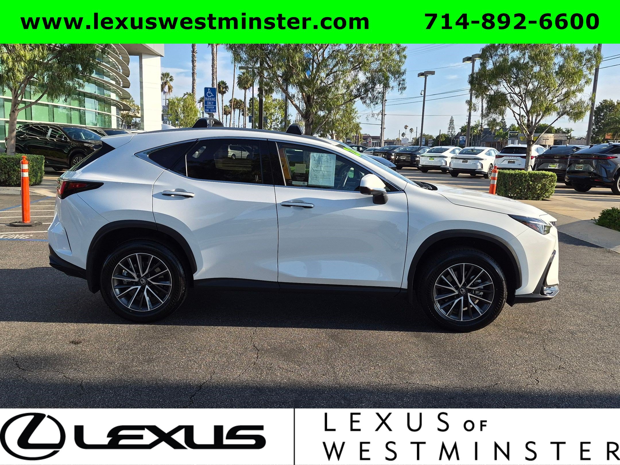 Certified 2026 Lexus NX 350h AWD w/ Accessory Package (2T) image 6
