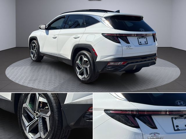 Used 2024 Hyundai Tucson Limited image 8