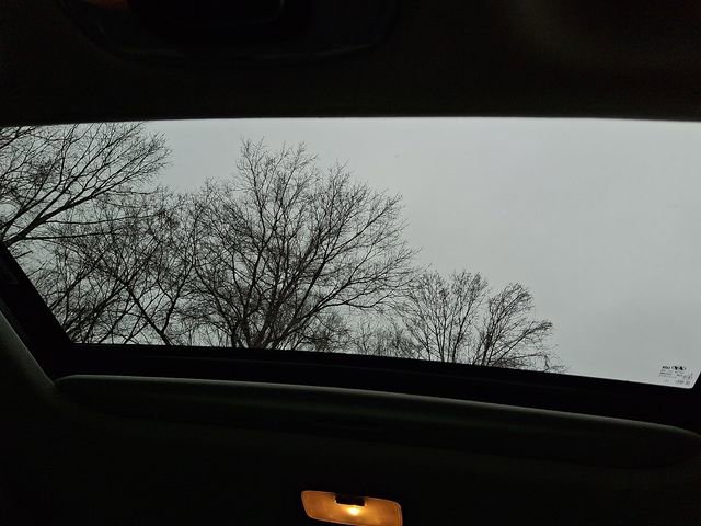 Used 2023 Hyundai Elantra Limited image 14