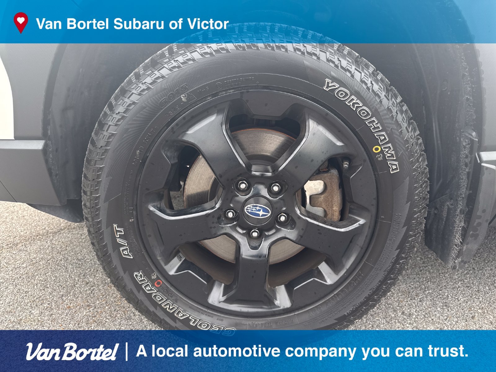 Certified 2024 Subaru Forester Wilderness AWD/4WD image 9